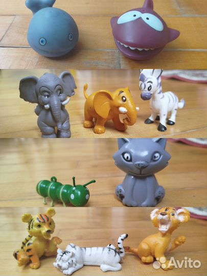 Животные Насекомые Рыбы