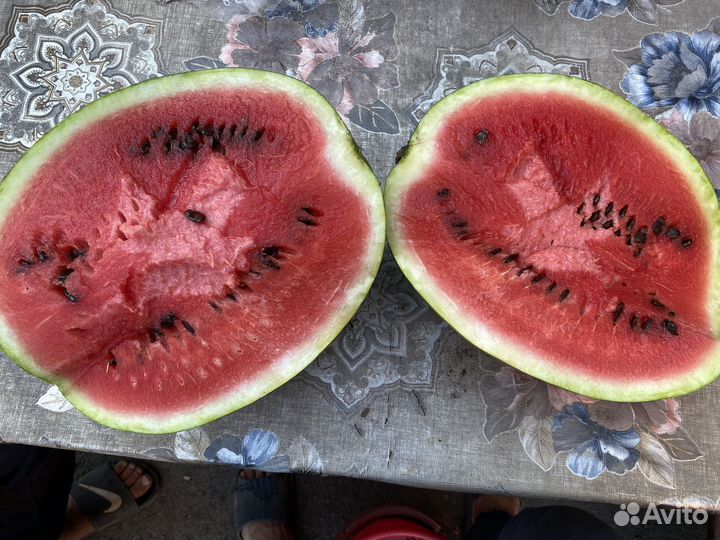 Арбуз оптом