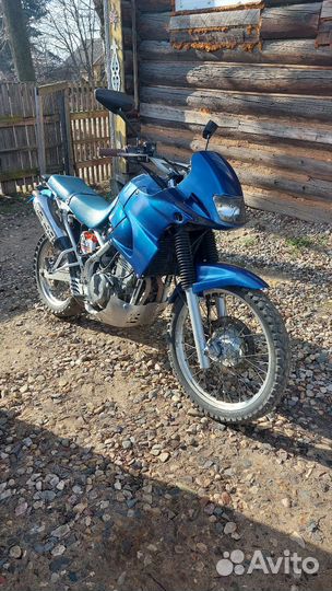 Kawasaki kle 250
