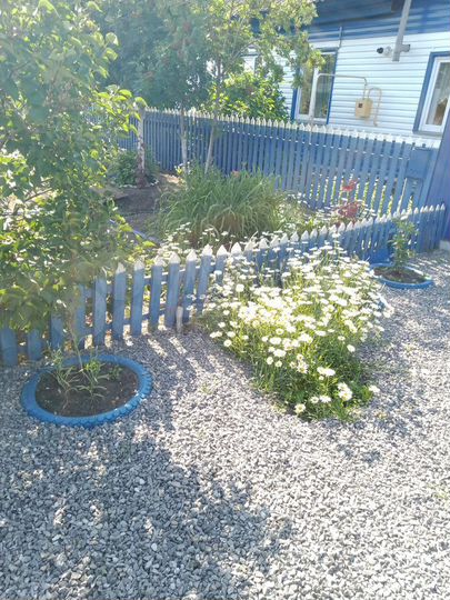 Дом 60 м² на участке 10 сот.