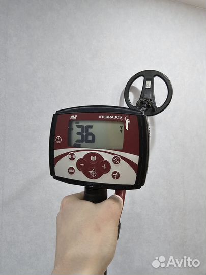 Металлоискатель Minelab X-Terra 305 dd