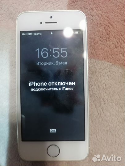 Дисплей iPhone 5s