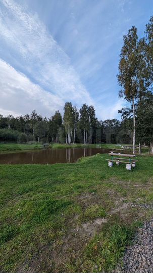 Дом 100 м² на участке 11 сот.