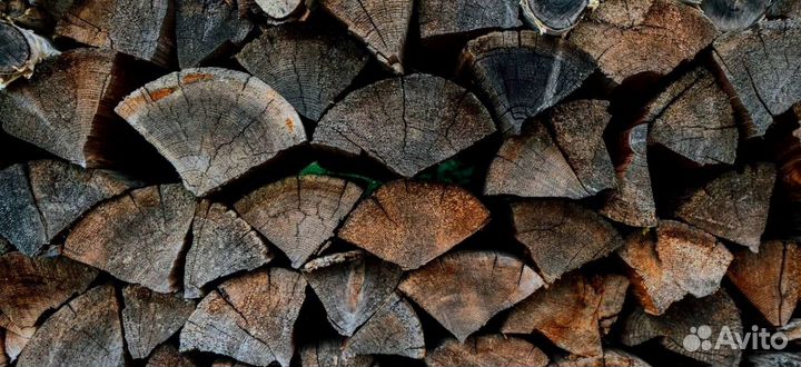 Дрова в область
