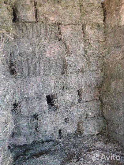 Сено люцерна200,луговое 200,доставка