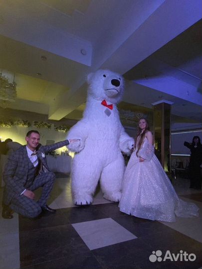 Белый мишка, милая Зайка, Галустян и другие