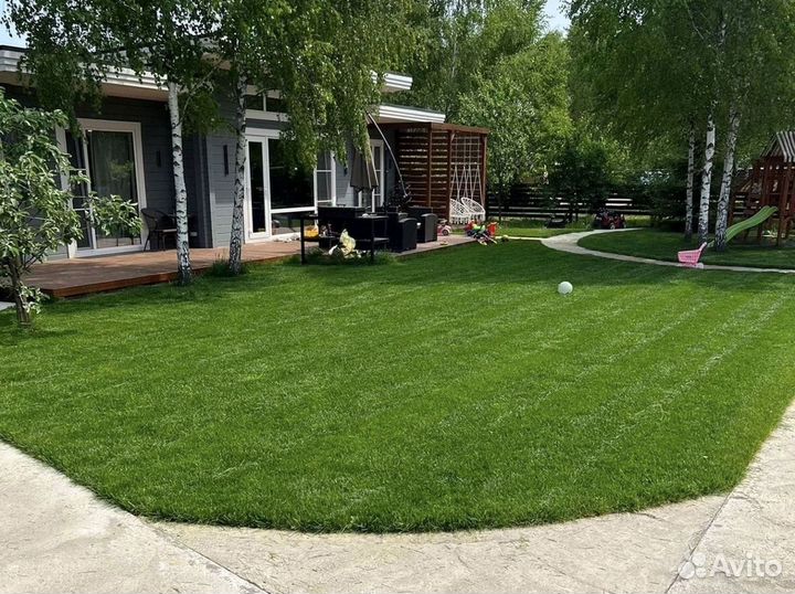 Газон в рулонах премиальный под ключ