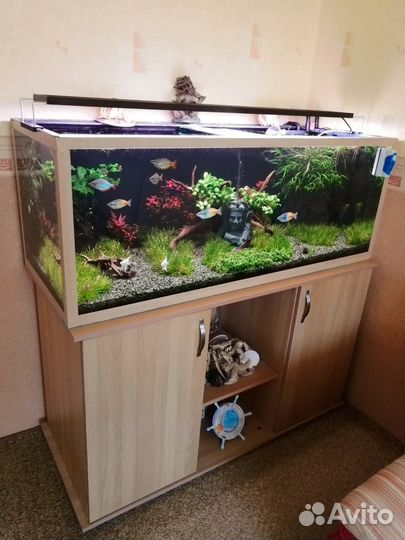 Продам Аквариумы