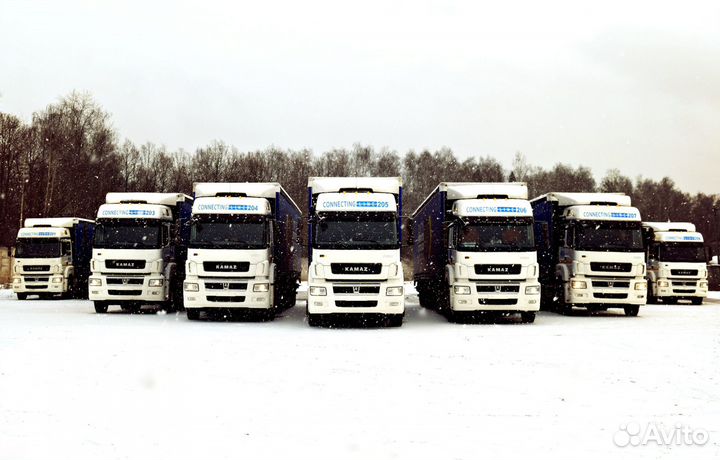 Водитель-экспедитор категории Е