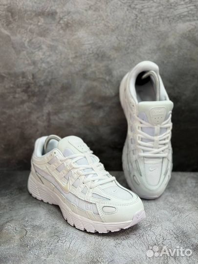 Кроссовки Nike p 6000