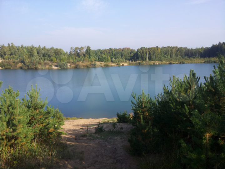 Участок 10 сот. (СНТ, ДНП)