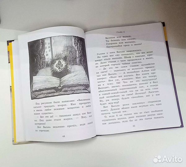 Ученик волшебника