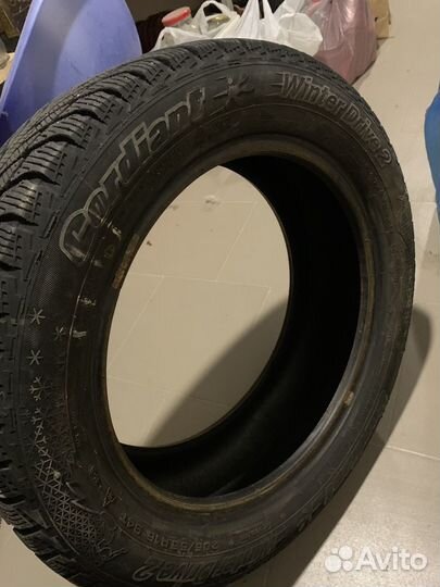 Cordiant Winter Drive 2 205/55 R16