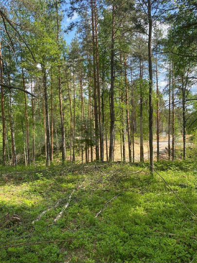 Участок 7,1 сот. (СНТ, ДНП)