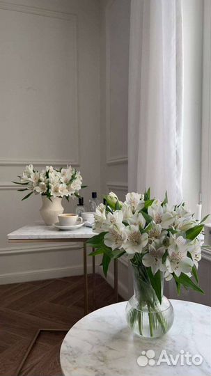 Администратор салона красоты