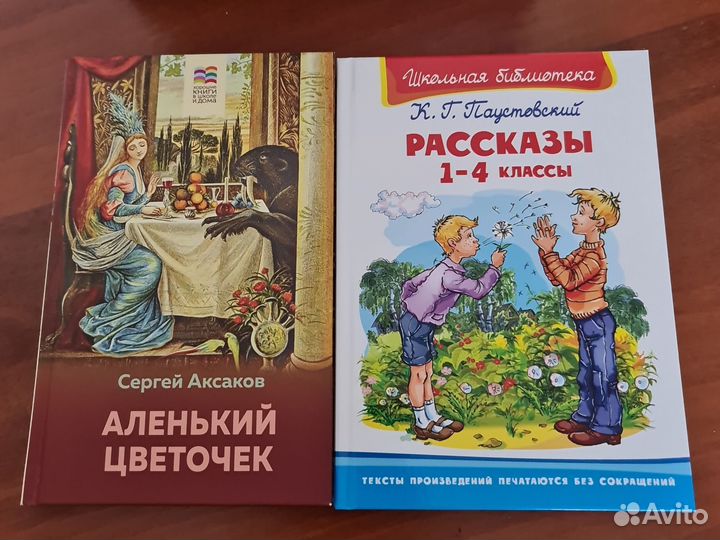 Книги для внеклассного чтения
