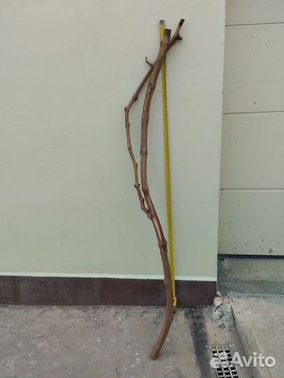 Виноградная лоза, очищенная коряга