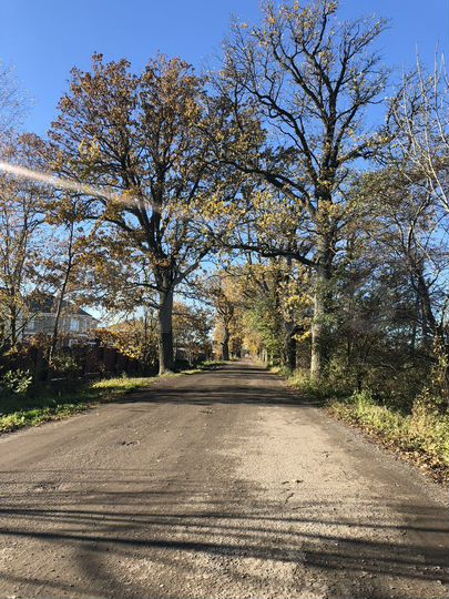 Участок 45 сот. (ИЖС)