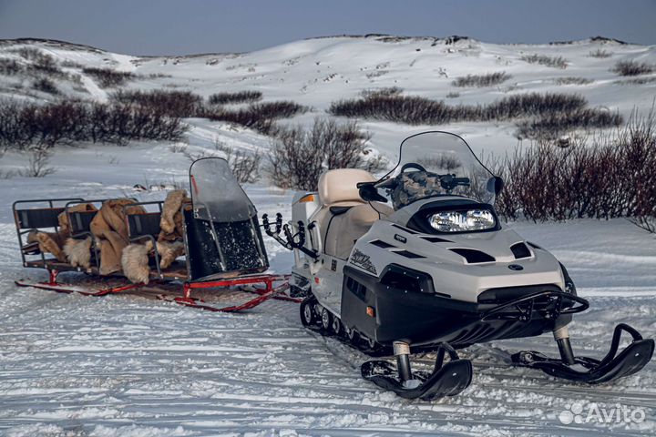 Туры в Териберку