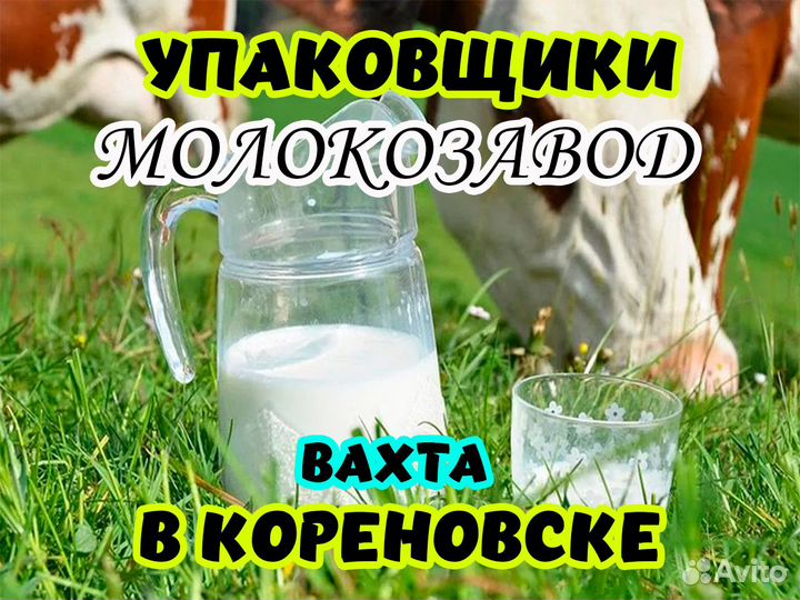 Упаковщик молока в Кореновск Вахта питание жилье