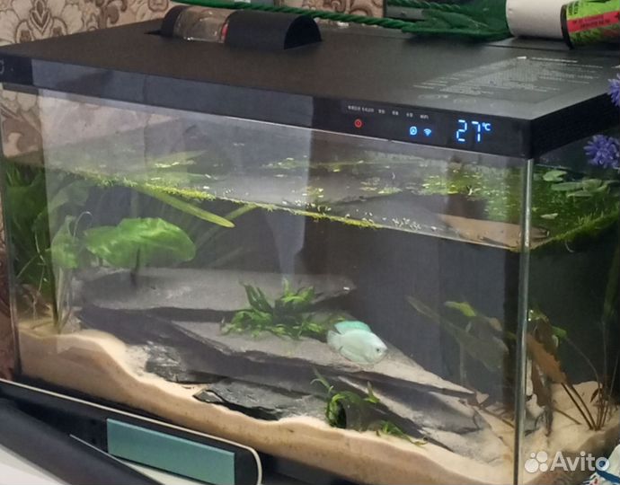 Умный аквариум Xiaomi mijia tank myg100