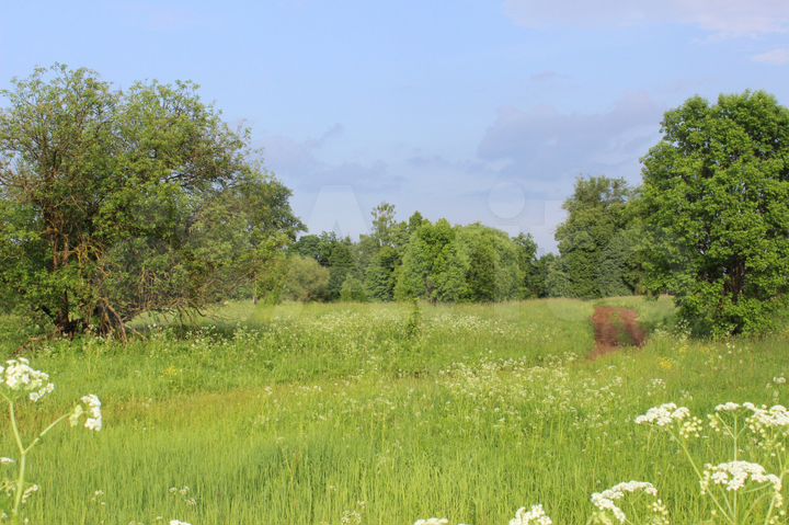 Участок 54 сот. (ИЖС)