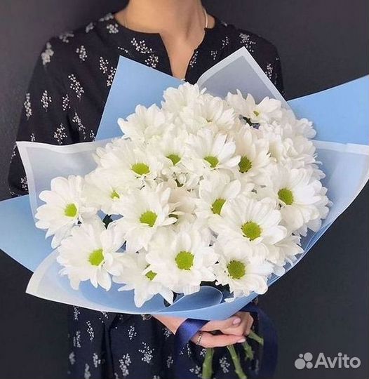 Хризантема Доставка цветов