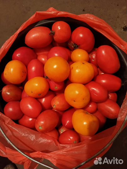 Помидоры