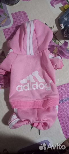 Одежда для маленьких пород собак