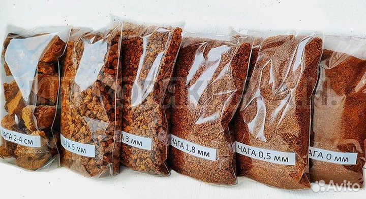 Чага молотая и кусковая, сушеная