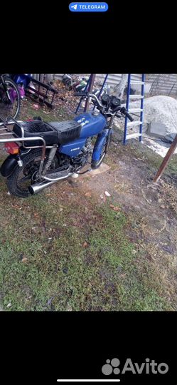 Продам альфу