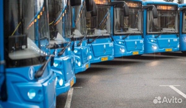 Водитель автобуса категории D