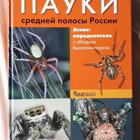 Книга "Пауки средней полосы России. Атлас"