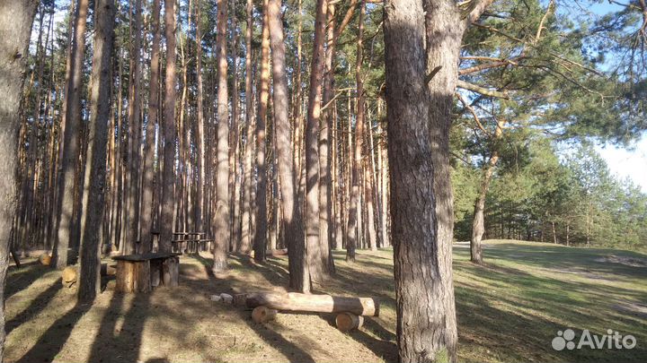 Прокат аренда мотоциклов