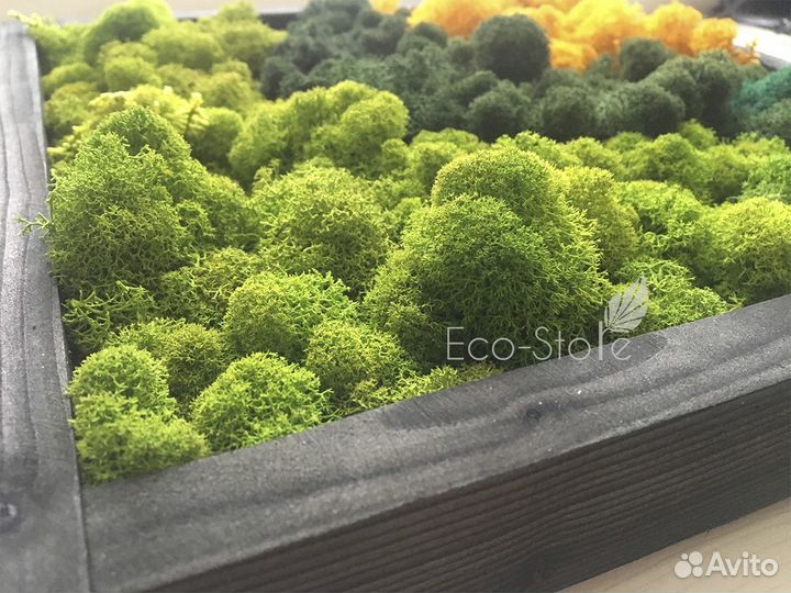 Панно из мха