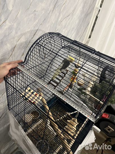 Клетка для попугая