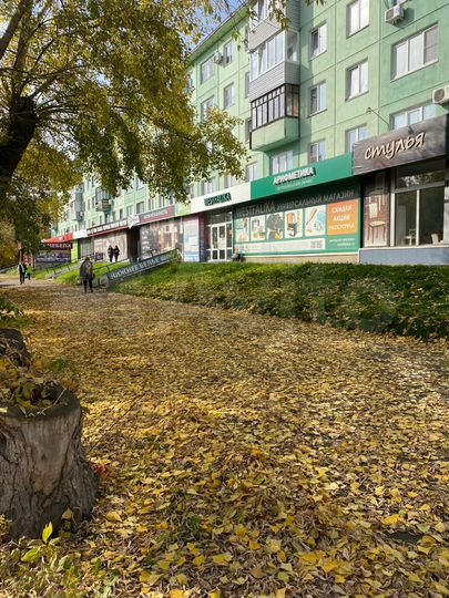 Торговая площадь, 313.9 м²