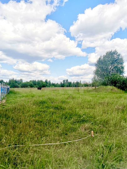 Участок 9,7 сот. (ИЖС)