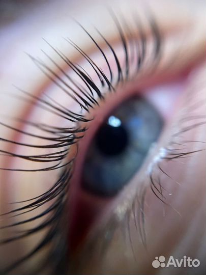 Ламинирование ресниц