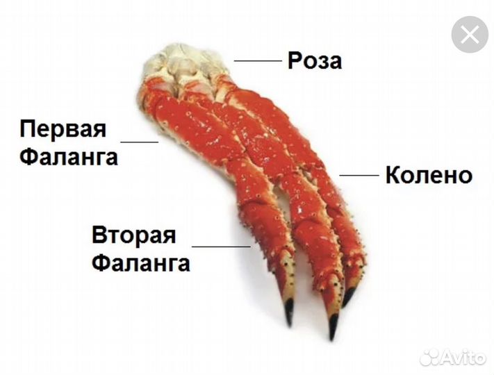 Мясо камчатсого краба 1-я фаланга