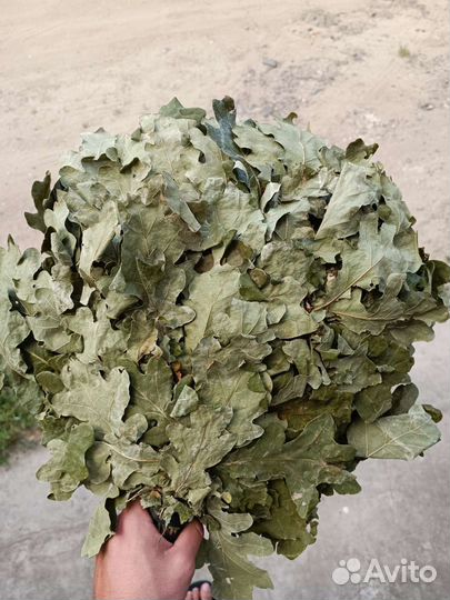 Веники для бани