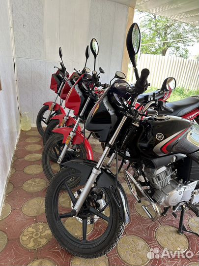 Легендарная Yamaha ybr 125