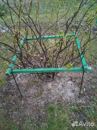 Ограждение для кустов