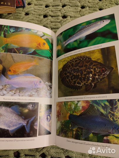 Книги про аквариумных рыб