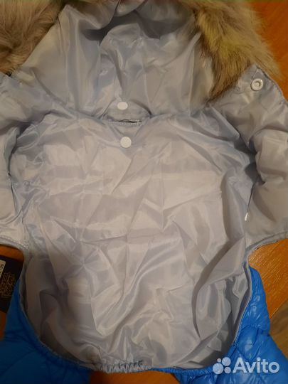 Комбезы на йорка