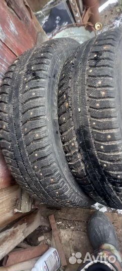 Amtel NordMaster 195/65 R15