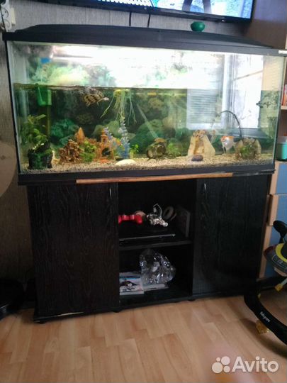 Аквариум