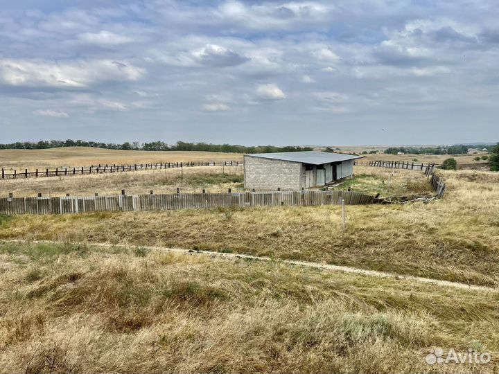 Сельхозферма, участок 50Га