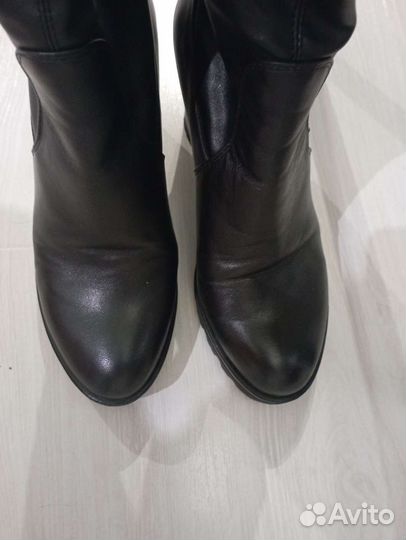 Сапоги ботфорты