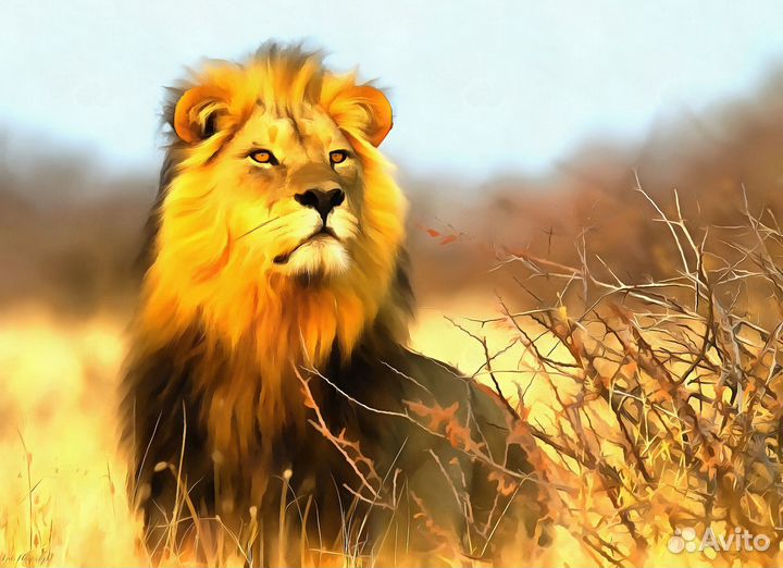 Картина Лев на выбор